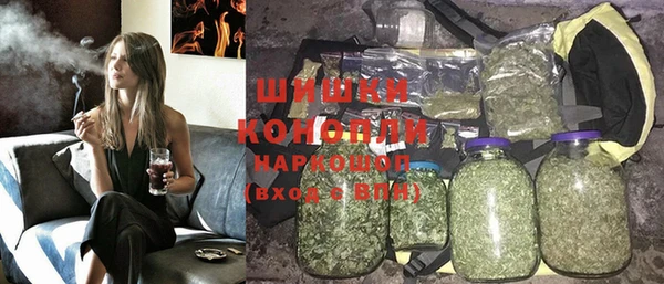 МДПВ Карпинск