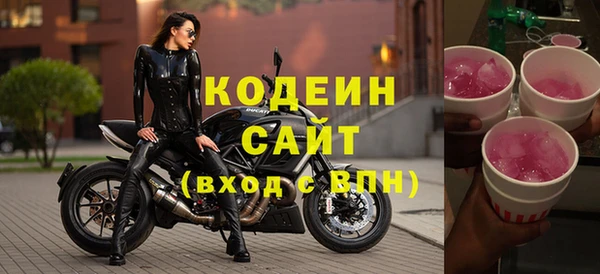 индика Инта